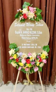 Ulang tahun Mappi